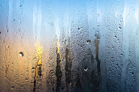 Pilot-Operated Pressure Regulators: How They Work and When to Use Them